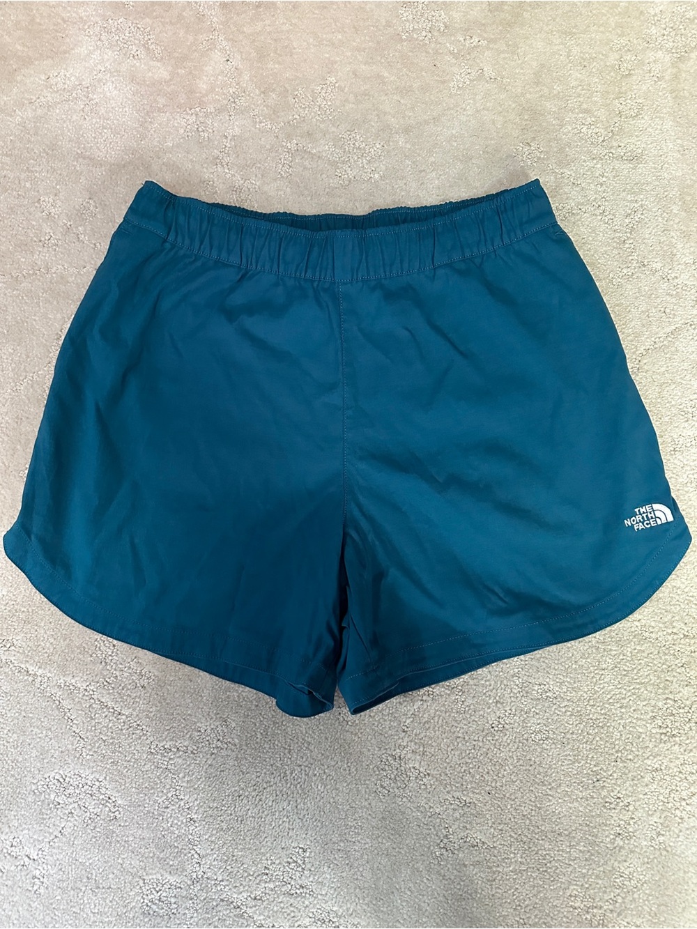 The North Face Teal Class V Pathfinder Shorts Camping Hiking Gorpcore